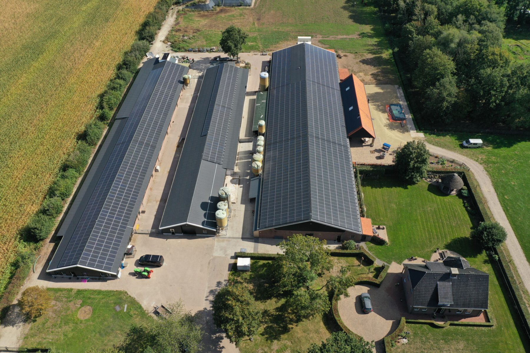 Sfeerfoto zonnepanelen op stal